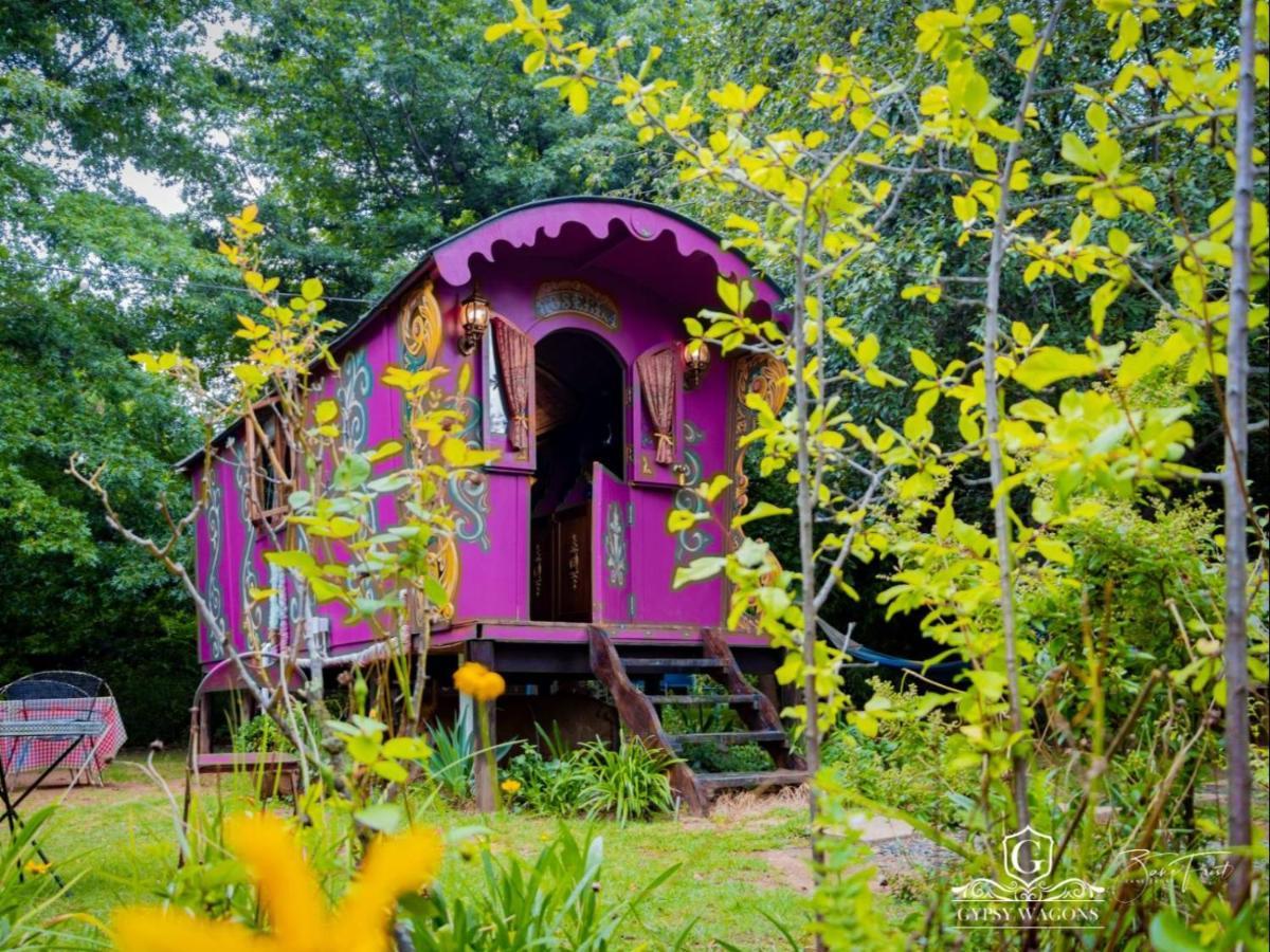 Gypsy Wagons And Vans, Clarens Værelse billede