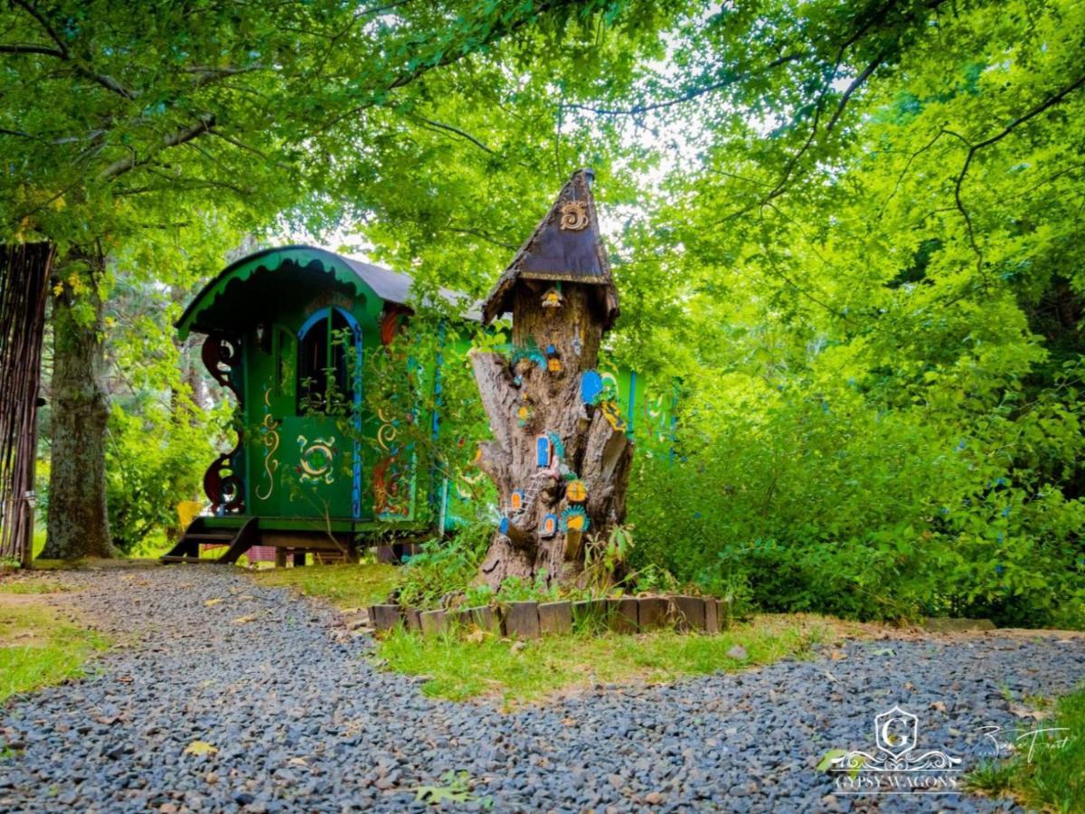 Gypsy Wagons And Vans, Clarens Værelse billede